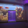 Проекционный дизайн "Виртуальная реальность" базовый комплект 500 анимаций - «globural.ru» - Новосибирск