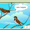 Интерактивное развивающее пособие "Говорящие картинки. Слушаем и повторяем" - «globural.ru» - Новосибирск