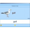 Английский язык. Освоение клавиатуры - «globural.ru» - Новосибирск