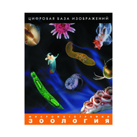 Зоология. Микрофотографии. (Цифровая база изображений) - «globural.ru» - Новосибирск