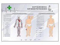Электрифицированный стенд "Остановка кровотечения" - «globural.ru» - Новосибирск