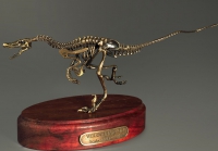 Модель скелета динозавра Velociraptor - «globural.ru» - Новосибирск