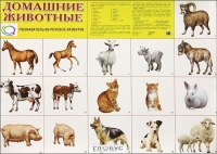 Демонстрационные карточки "Домашние животные" - «globural.ru» - Новосибирск