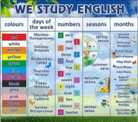 Стенд "We study english" - «globural.ru» - Новосибирск