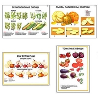 Плакаты ПРОФТЕХ "Ассортимент овощных культур" (12 пл, винил, 70х100) - «globural.ru» - Новосибирск
