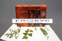 Гербарий для начальной школы (28 видов) - «globural.ru» - Новосибирск