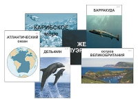 Модель-аппликация "Океаны. Знакомство" (ламинированная) - «globural.ru» - Новосибирск