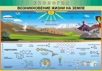 Таблица Возникновение жизни на Земле 1000*1400 винил - «globural.ru» - Новосибирск