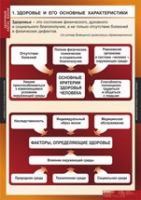 ОБЖ Здоровый образ жизни (комплект таблиц) - «globural.ru» - Новосибирск