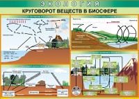 Таблица Круговорот веществ в биосфере 1000*700 винил - «globural.ru» - Новосибирск