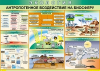 Таблица Антропогенное воздействие на биосферу 1000*700 винил - «globural.ru» - Новосибирск