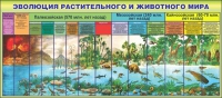 Стенд "Эволюция растительного и животного мира" - «globural.ru» - Новосибирск