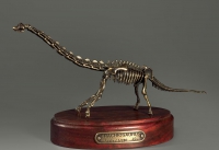 Модель скелета динозавра Brachiosaurus - «globural.ru» - Новосибирск