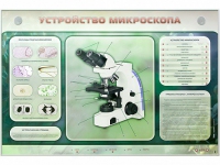 Электрифицированный стенд "Устройство микроскопа и правила работы c ним" - «globural.ru» - Новосибирск