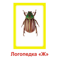 Логопедка "Ж" (логопедические карточки) - «globural.ru» - Новосибирск