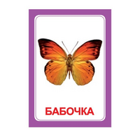 Логопедка "Ч" (логопедические карточки) - «globural.ru» - Новосибирск