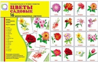 Демонстрационные карточки "Цветы садовые" - «globural.ru» - Новосибирск