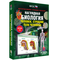 Наглядная биология. Человек. Строение тела человека - «globural.ru» - Новосибирск