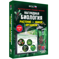 Наглядная биология. Растение - живой организм - «globural.ru» - Новосибирск
