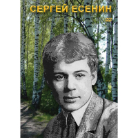 DVD Сергей Есенин - «globural.ru» - Новосибирск