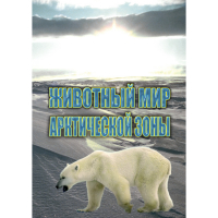 DVD Животный мир Арктической зоны - «globural.ru» - Новосибирск