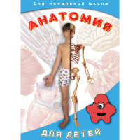 DVD  Анатомия для детей - «globural.ru» - Новосибирск