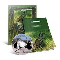 Электронное наглядное пособие «Птицы» - «globural.ru» - Новосибирск