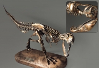 Модель скелета динозавра Tyrannosaurus - «globural.ru» - Новосибирск