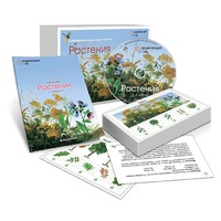 Комбинированное наглядное пособие «Растения» - «globural.ru» - Новосибирск