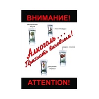 DVD Алкоголь. Признать виновным - «globural.ru» - Новосибирск