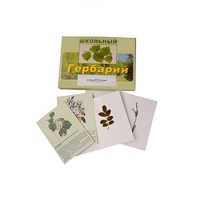 Гербарий "Деревья и кустарники" (22 вида, с иллюстрациями) - «globural.ru» - Новосибирск