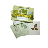 Гербарий "Дикорастущие растения" (30 видов, с иллюстрациями) - «globural.ru» - Новосибирск