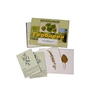 Гербарий "Лекарственные растения" (22 вида, с иллюстрациями) - «globural.ru» - Новосибирск