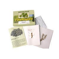 Гербарий "Водоросли. Грибы. Лишайники" (раздаточный) - «globural.ru» - Новосибирск