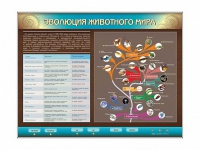 Интерактивный электрифицированный стенд "Эволюция животного мира" - «globural.ru» - Новосибирск