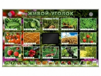 Комплект оборудования "Живой уголок" (растения) - «globural.ru» - Новосибирск