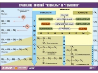 Таблица демонстрационная "Сравнение понятий изомер и гомолог" (винил 100х140) - «globural.ru» - Новосибирск