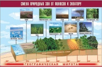 Таблица демонстрационная "Смена природных зон от полюсов к экватору" (винил 70x100) - «globural.ru» - Новосибирск