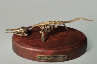Модель скелета ихтиозавра Ichthyosaurus - «globural.ru» - Новосибирск