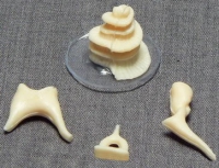 Модель "Косточки слуховые" - «globural.ru» - Новосибирск