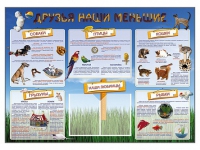 Стенд-уголок "Друзья наши меньшие" - «globural.ru» - Новосибирск