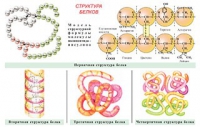 Плакаты и таблицы по общей химии - «globural.ru» - Новосибирск