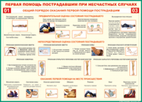  Таблица Общий порядок оказания первой помощи пострадавшим 1000*1400 винил	 - «globural.ru» - Новосибирск