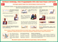 Таблица Порядок действий при переломах конечностей 1000*1400 винил - «globural.ru» - Новосибирск