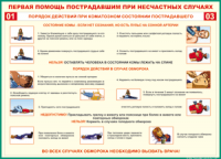 Таблица Порядок действий при коматозном состоянии пострадавшего 1000*1400 винил - «globural.ru» - Новосибирск