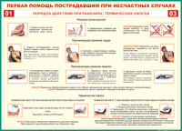 Таблица Порядок действий при ранениях и термических ожогах	 1000*1400 винил - «globural.ru» - Новосибирск