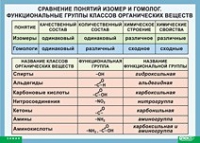 Химия. Сравнение понятий изомер и гомолог. Функциональные группы классов органических веществ (винил) - «globural.ru» - Новосибирск