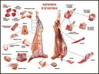 Правила разделки мясных туш "Баранина и ягнятина" 1000*1400 винил - «globural.ru» - Новосибирск