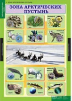 Окружающий мир 4 класс (комплект таблиц) - «globural.ru» - Новосибирск