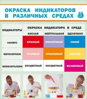 Стенд "Окраска индикаторов в различных средах" - «globural.ru» - Новосибирск